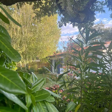 Villa - Maison Le Paradis