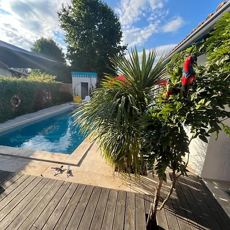 - Maison Le Paradis Βίλα Ares