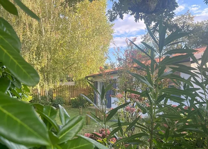 Villa - Maison Le Paradis